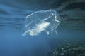 Used transparent plastic bag slowly drifting underwater over coral reef in the sun lights. Plastic debris underwater. Plastic