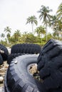 Used truck wheels in the tropical forest