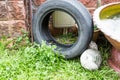 Used tyres potentially store stagnant water and mosquitoes breed Royalty Free Stock Photo