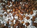 Mixed small brown and white stones texture. Royalty Free Stock Photo