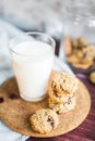 Useful baking: oatmeal cookies with yogurt