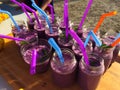 Useful berry smoothies on a picnic Royalty Free Stock Photo