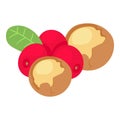 Useful food icon, isometric style