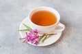 Useful herbal tea from fermented leaves fireweed on grey background. Traditional Russian Koporye Tea Ivan Chai Copy space