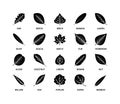 Useful leaves silhouette icons vegan analysis vector design line elements leaf tree bush berries oxygen world ecology