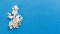 Useful mineral asbestos close up on blue background Royalty Free Stock Photo