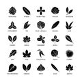 Useful properties leaves silhouette icons. Vegan analysis vector set of design elements leaf tree bush berries healthy Royalty Free Stock Photo