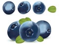Useful ripe fresh blueberry on white background. Freshly picked blueberry with green leaf. Organic berry. Sweet