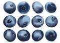Useful ripe fresh blueberry on white background. Freshly picked blueberry rich in vitamins. Organic berry. Sweet