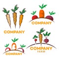 Useful vegetables logo. Vector illustration.