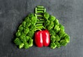 Useful vegetables to maintain lung and heart health. Royalty Free Stock Photo