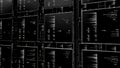 User interface of the hacking program, monochrome. Animation. Black and white digital artificial intelligence in a