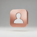 UserIcon RoseGold Metallic 3DRender Profile Royalty Free Stock Photo