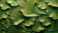 ush Ginkgo Biloba Leaves Overlapping on Vibrant Green Background