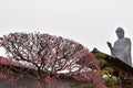 Ushiku Daibutsu is tallest Buddhist statue