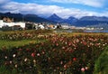 ushuaia-tierra del fuego-argentina panoramic view with buildings and houses patagonia with sky with clouds Royalty Free Stock Photo