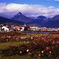 ushuaia-tierra del fuego-argentina panoramic view with buildings and houses patagonia with sky with clouds-may 2010 Royalty Free Stock Photo