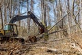 Using a backhoe excavator worker uproots trees from forest, preparing ground to be built on