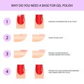 Using a base for gel polish. Professional manicure guide, Vector illustration, infographics