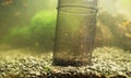 Gravel cleaner in aquarium Royalty Free Stock Photo