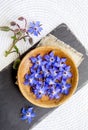 Using beautiful dark blue edible flower for food decoration Borago officinalis Borago or borage. Royalty Free Stock Photo