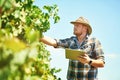 Using the best resources to help grow his grape vines. a farmer using a digital tablet while doing his rounds.