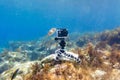 Using camera in waterproof box on a tripod to make photos and video from the bottom of the sea Royalty Free Stock Photo