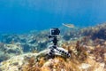 Using camera in waterproof box on a tripod to make photos and video from the bottom of the sea Royalty Free Stock Photo