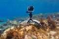 Using camera in waterproof box on a tripod to make photos and video from the bottom of the sea Royalty Free Stock Photo