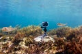 Using camera in waterproof box on a tripod to make photos and video from the bottom of the sea Royalty Free Stock Photo