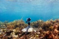 Using camera in waterproof box on a tripod to make photos and video from the bottom of the sea Royalty Free Stock Photo