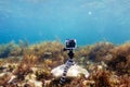 Using camera in waterproof box on a tripod to make photos and video from the bottom of the sea Royalty Free Stock Photo