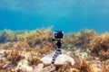 Using camera in waterproof box on a tripod to make photos and video from the bottom of the sea Royalty Free Stock Photo