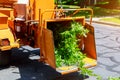 Using chipper machine to remove and chainsaw tree branches Royalty Free Stock Photo