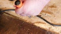 using a chisel and hammer to pry out old nails from subflooring