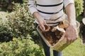 Using Coffee as Compost Royalty Free Stock Photo
