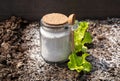 Using diatomite in garden work. Diatomaceous earth( Kieselgur) powder in jar.