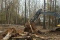 Using an excavator worker is preparing ground by uprooting trees to construct a house.