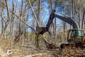 Using an excavator worker uproots trees that are growing in forest, preparing ground on which to build a house