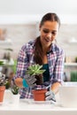 Using fertil soil for plants Royalty Free Stock Photo