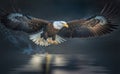 A bald eagle flying above the surface water to find prey with blurred water background, generative AI Royalty Free Stock Photo
