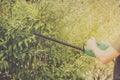 Using a hedge trimmer to trim the bushes Royalty Free Stock Photo