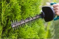 Using a hedge trimmer to trim the bushes. Royalty Free Stock Photo