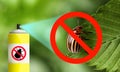 Using insecticide to kill Colorado potato beetle