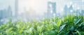 Using IoT sensors and data analytics for sustainable environmental monitoring