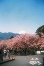 Fuji mountain in late winter