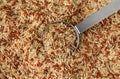 Using a measuring cup to take a portion of long grain brown rice and red rice Royalty Free Stock Photo
