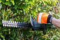 Using a miniature chainsaw to trim down hedges