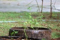 Using old tires to make pots for planting vegetables, kitchen gardens, vegetables and herbs.