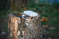 Using a power Bank to charge your phone and gadgets in the field.